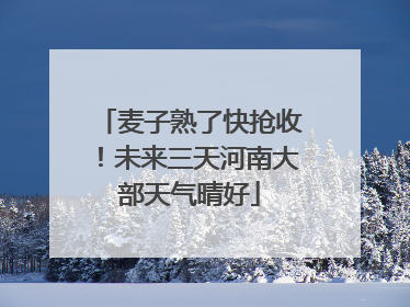 麦子熟了快抢收！未来三天河南大部天气晴好