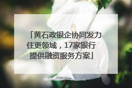 黄石政银企协同发力住更领域，17家银行提供融资服务方案