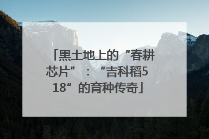 黑土地上的“春耕芯片”：“吉科稻518”的育种传奇