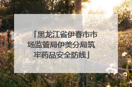黑龙江省伊春市市场监管局伊美分局筑牢药品安全防线