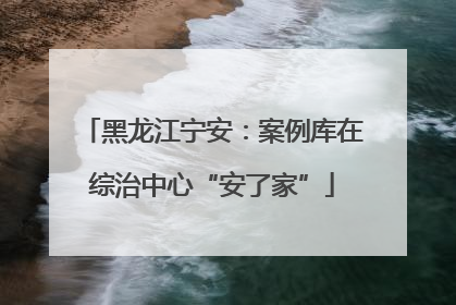 黑龙江宁安：案例库在综治中心“安了家”