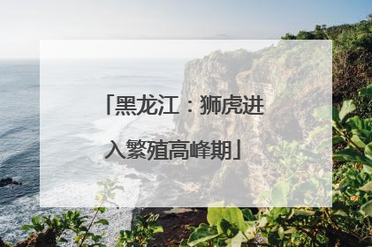 黑龙江：狮虎进入繁殖高峰期