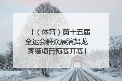 （体育）第十五届全运会群众展演舞龙舞狮项目预赛开赛