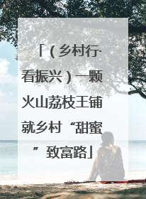 （乡村行·看振兴）一颗火山荔枝王铺就乡村“甜蜜”致富路