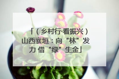 （乡村行·看振兴）山西襄垣：向“林”发力 借“绿”生金