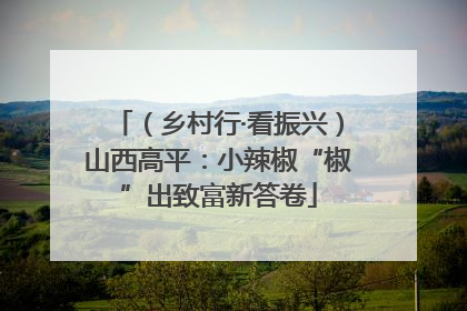 （乡村行·看振兴）山西高平：小辣椒“椒”出致富新答卷