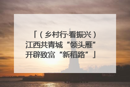 （乡村行·看振兴）江西共青城“领头雁”开辟致富“新稻路”