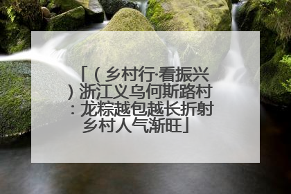 （乡村行·看振兴）浙江义乌何斯路村：龙粽越包越长折射乡村人气渐旺