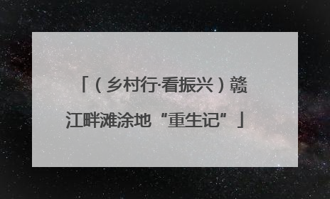（乡村行·看振兴）赣江畔滩涂地“重生记”