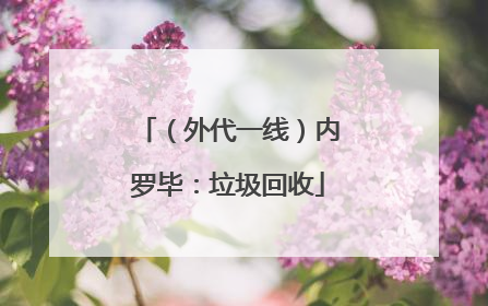 （外代一线）内罗毕：垃圾回收