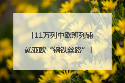 11万列中欧班列铺就亚欧“钢铁丝路”