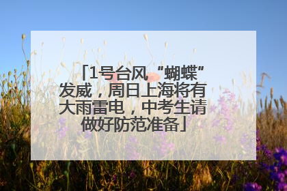 1号台风“蝴蝶”发威，周日上海将有大雨雷电，中考生请做好防范准备