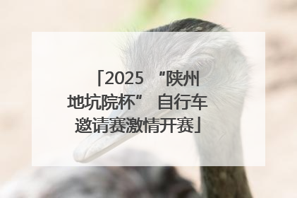 2025 “陕州地坑院杯” 自行车邀请赛激情开赛