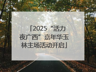 2025“活力夜广西”嘉年华玉林主场活动开启