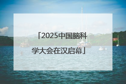 2025中国脑科学大会在汉启幕