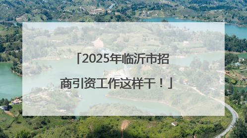 2025年临沂市招商引资工作这样干！