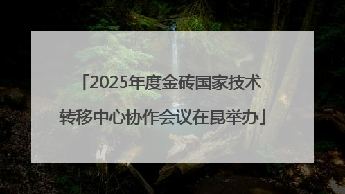 2025年度金砖国家技术转移中心协作会议在昆举办