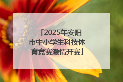 2025年安阳市中小学生科技体育竞赛激情开赛
