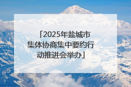 2025年盐城市集体协商集中要约行动推进会举办