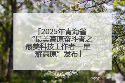 2025年青海省“最美高原奋斗者之最美科技工作者—星耀高原”发布