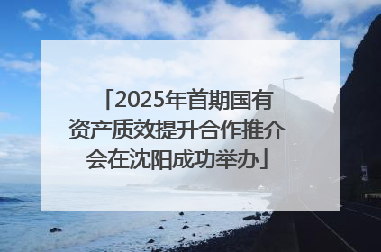 2025年首期国有资产质效提升合作推介会在沈阳成功举办