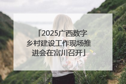 2025广西数字乡村建设工作现场推进会在富川召开