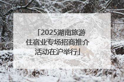 2025湖南旅游住宿业专场招商推介活动在沪举行