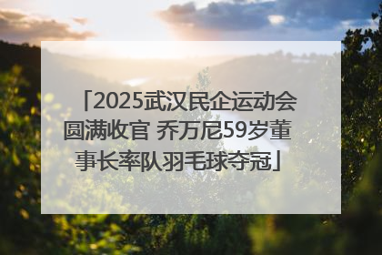 2025武汉民企运动会圆满收官 乔万尼59岁董事长率队羽毛球夺冠