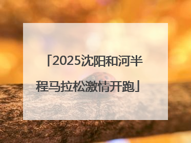 2025沈阳和河半程马拉松激情开跑