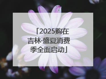 2025购在吉林·盛夏消费季全面启动