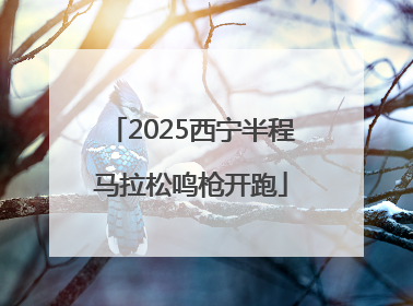 2025西宁半程马拉松鸣枪开跑