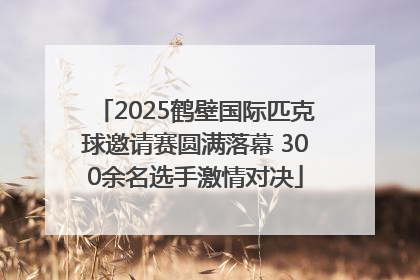 2025鹤壁国际匹克球邀请赛圆满落幕 300余名选手激情对决