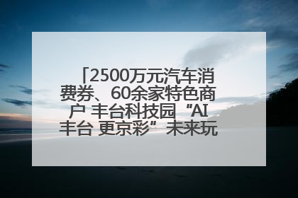 2500万元汽车消费券、60余家特色商户 丰台科技园“AI丰台 更京彩”未来玩家市集活动正式开幕