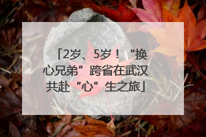 2岁、5岁！“换心兄弟”跨省在武汉共赴“心”生之旅