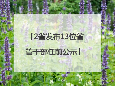2省发布13位省管干部任前公示
