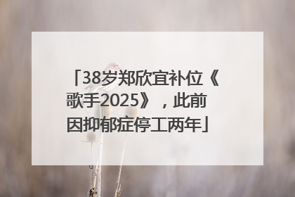38岁郑欣宜补位《歌手2025》，此前因抑郁症停工两年