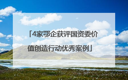 4家鄂企获评国资委价值创造行动优秀案例