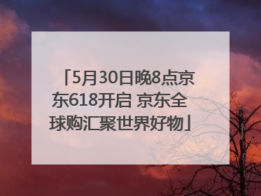 5月30日晚8点京东618开启 京东全球购汇聚世界好物