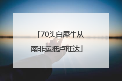 70头白犀牛从南非运抵卢旺达
