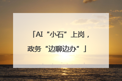 AI“小石”上岗，政务“边聊边办”