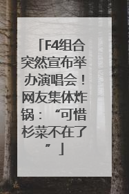 F4组合突然宣布举办演唱会！网友集体炸锅：“可惜杉菜不在了”