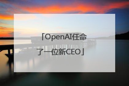 OpenAI任命了一位新CEO